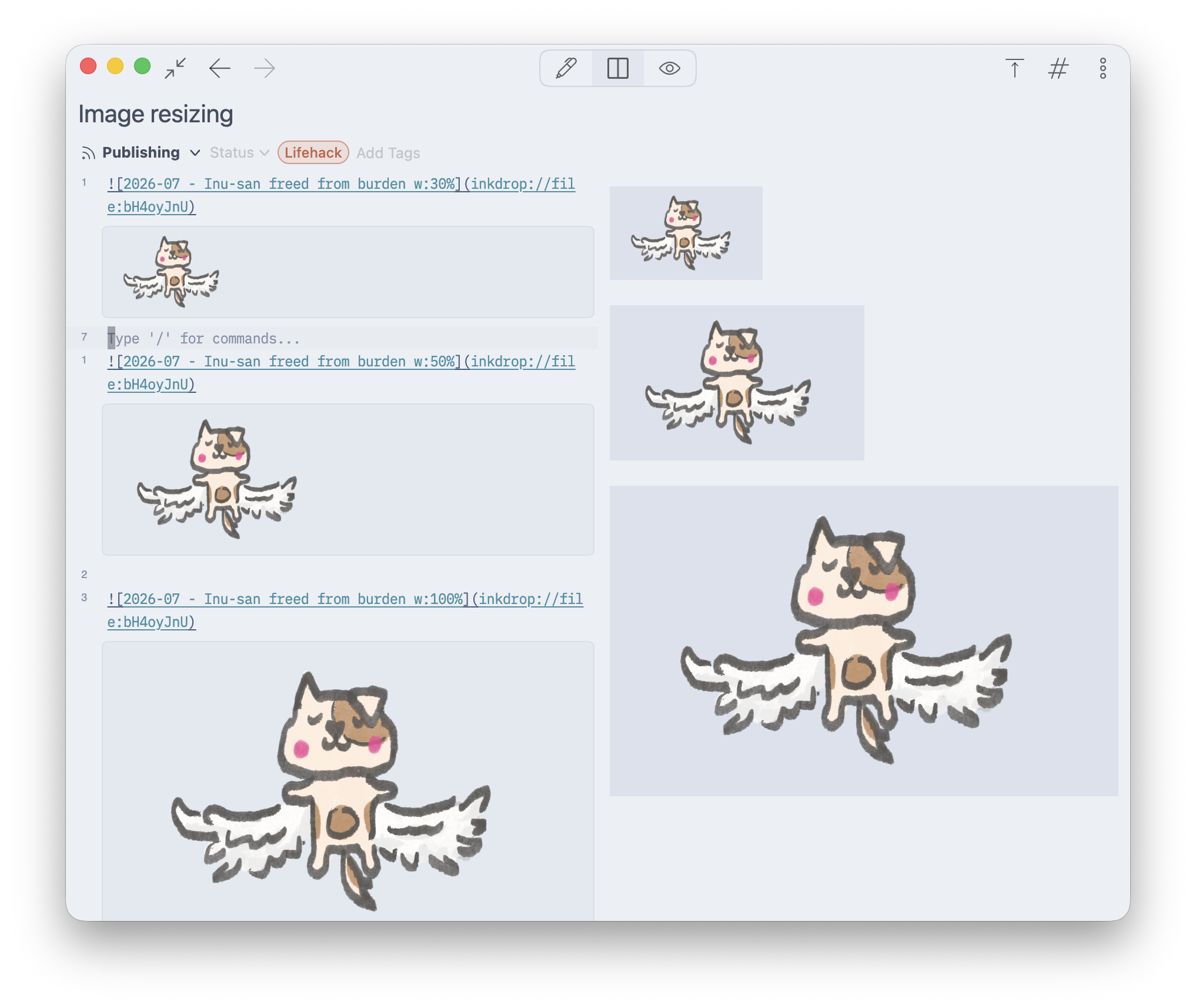 The image resize example