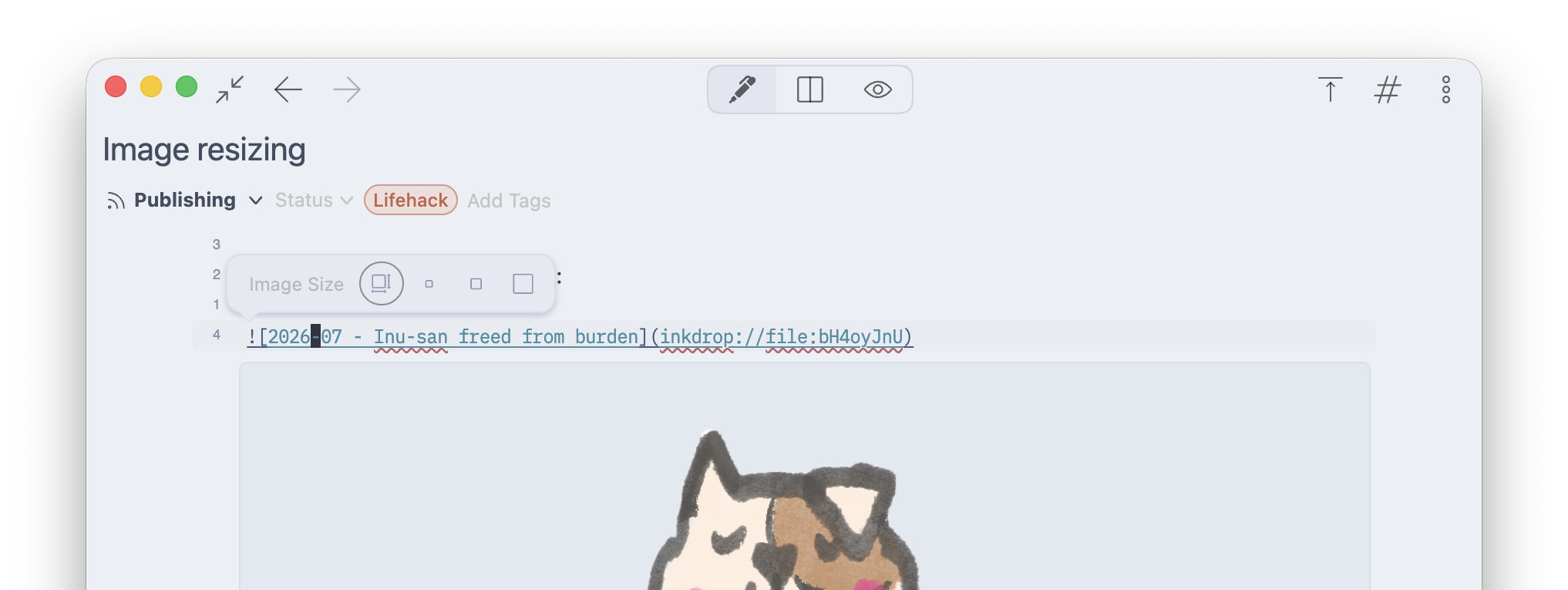 The image resize toolbar